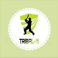 Tribal 11