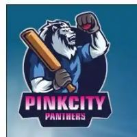 PinkCity Panthers