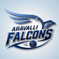 Aravali Falcons